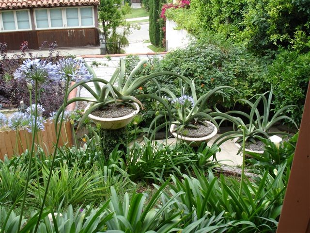 ../Images/Dsc03177.jpg