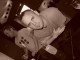 Thumbs/tn_Dsc03658.jpg