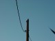 Thumbs/tn_Dsc03673.jpg